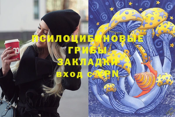 спиды Алзамай