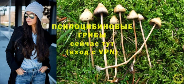 гашик Алексеевка