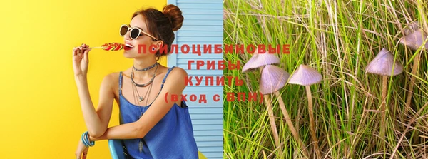спиды Алзамай